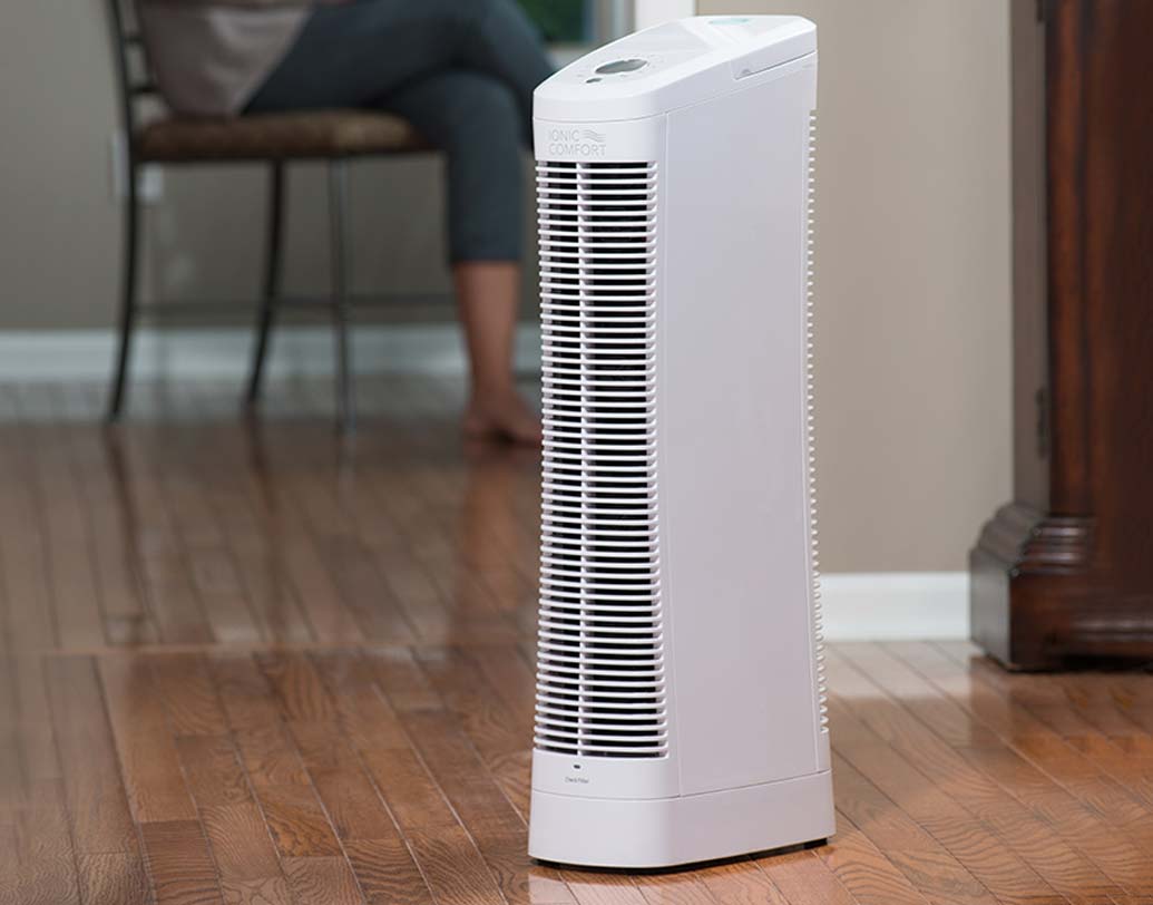 কেনার আগে দেখে নিন পিউরিফায়ারের ‘এয়ার চেঞ্জ রেট’ বা প্রতি ঘণ্টায় শোধনের মাত্রা কত। যদি বাড়িতে কারও অ্যালার্জি বা হাঁপানির মতো রোগ থাকে তাহলে ৫-৬ এয়ার চেঞ্জ রেটের পিউরিফায়ার কিনবেন।