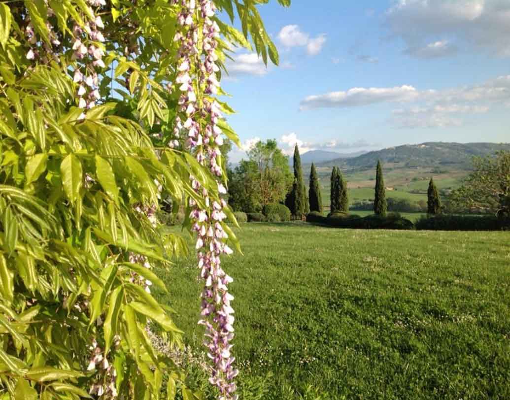 ইতালির ওয়াইন ক্যাপিটাল মন্টালসিনোর থেকে মাত্র কয়েক কিলোমিটার দূরে রয়েছে এই বর্গ ফিনোচ্চিয়েতো।