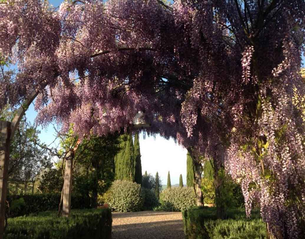 ফোর্বসের তালিকায় বিশ্বের প্রথম ২০ ‘এক্সপেনসিভ’ হলিডে ডেস্টিনেশনের মধ্যে দ্বিতীয় স্থানে রয়েছে তাস্কানির নাম।