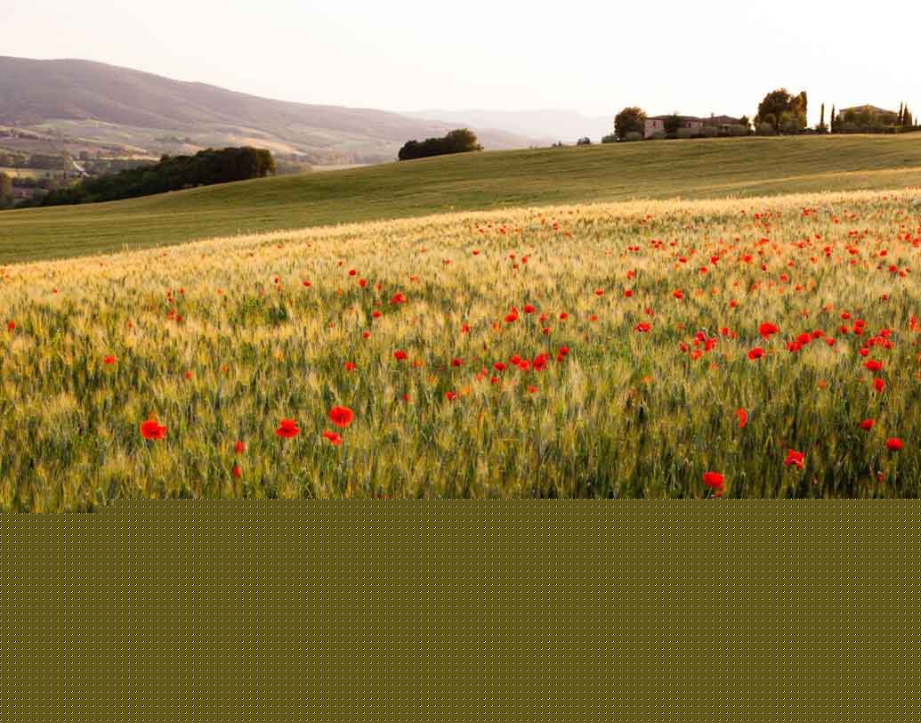 প্রথম স্থানটি দখল করেছে কোস্টা রিকার হসেইন্ডা সান্টা ইনস।