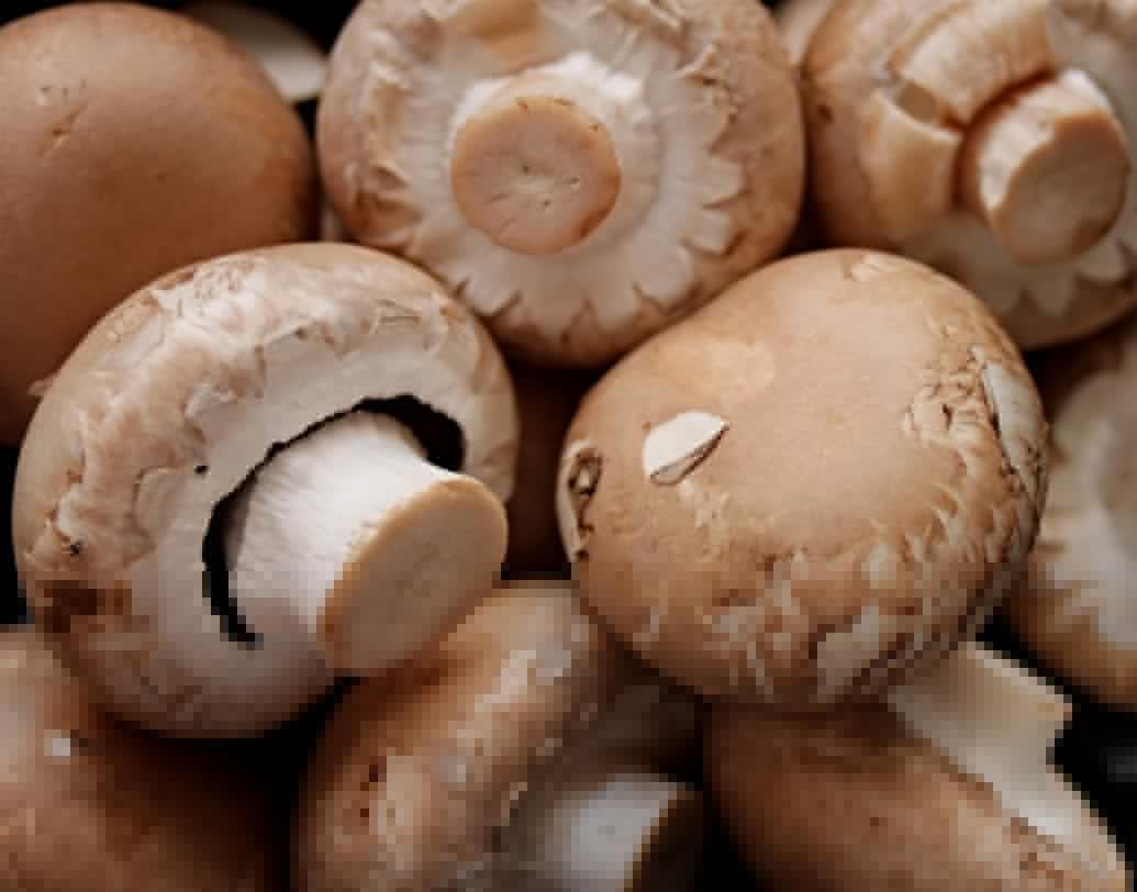 ভিটামিন ডি: এই ভিটামিনের অভাবে চুল পড়ার সমস্যা দেখা দেয়। আবার ভিটামিন ডি হেয়ার ফলিকল তৈরি করতে সাহায্য করে। ডিম, মাশরুম, কড লিভার জাতীয় খাবার খান।