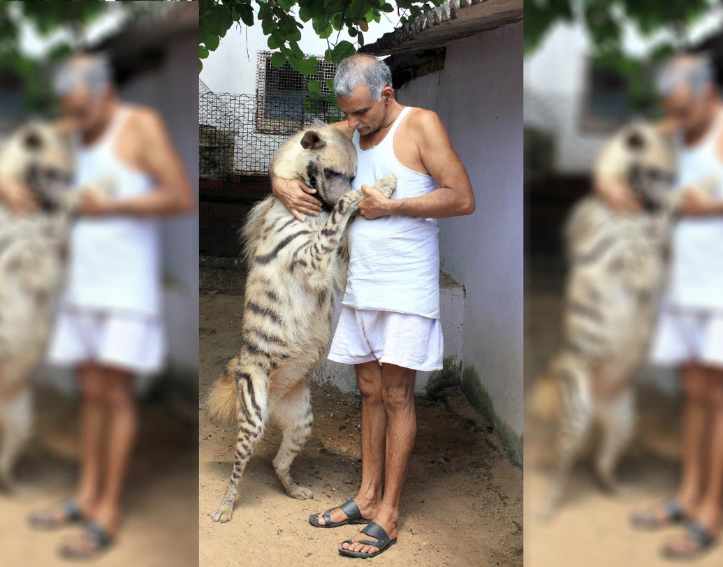 ১৯৭৪ সালে মাত্র ২৬ বছর বয়সে ‘আমতেজ অ্যানিমেল আর্ক’-এর প্রতিষ্ঠা করেন।