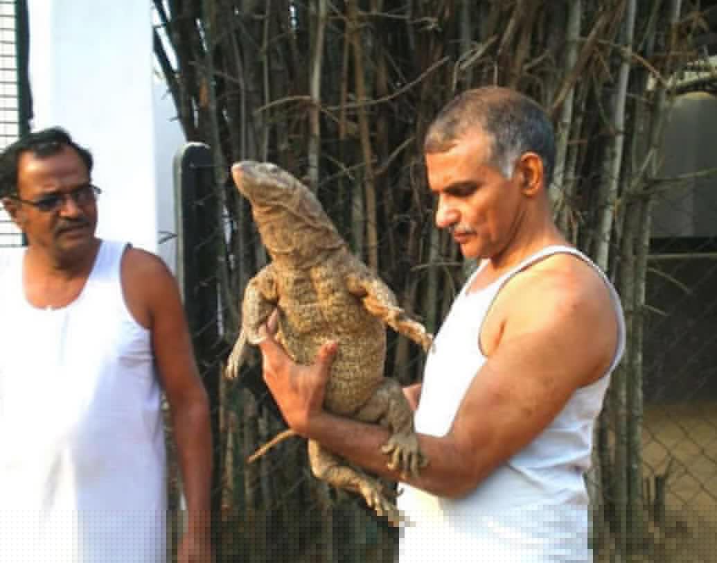 ২০০২-এ পদ্মশ্রী পুরস্কারে সম্মানিত হন প্রকাশ আমতে। ২০১৪-এ সমাজসেবা মূলক কাজের জন্য পান মাদার টেরেসা অ্যাওয়ার্ডস ফর সোশাল জাস্টিশ।