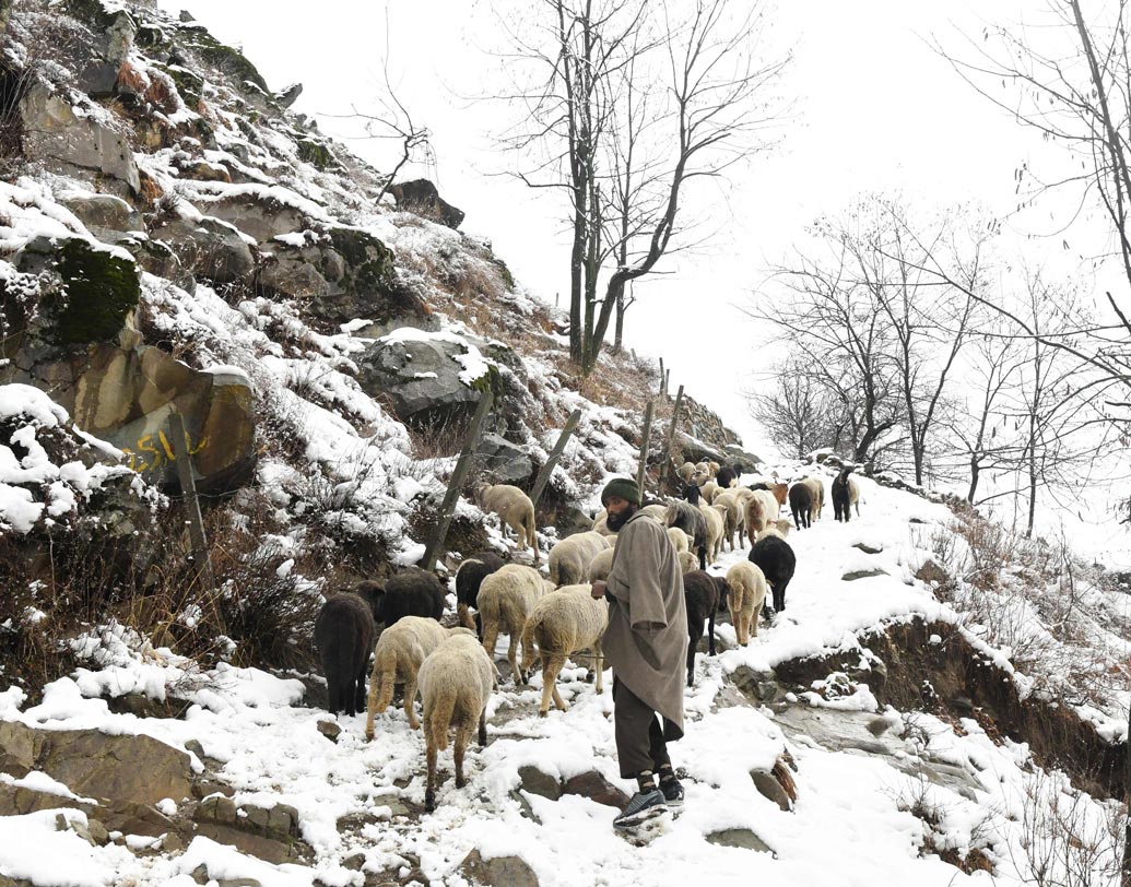 Kashmir Valley freezes, watch the Spectacular photos dgtl