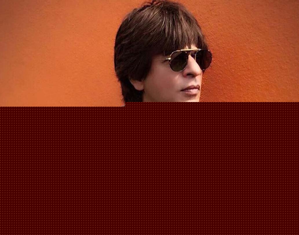 বলিউডের বাদশা বলে কথা। রোম্যান্সিং কিঙ্গ খান বলা হয় তাঁকে। থিয়েটার-টিভি সিরিয়াল থেকে বলিউডের ছবি। শাহরুখ খানের অভিনয় দক্ষতা মন জয় করেছে বহু মানুষের। ২০১৩ সালে সর্বোচ্চ আয় করে শাহরুখের নাম উঠেছিল ‘গিনেস বুক’-এ। সে বছর প্রায় ২২১ কোটি টাকা রোজগার করেছিলেন তিনি।