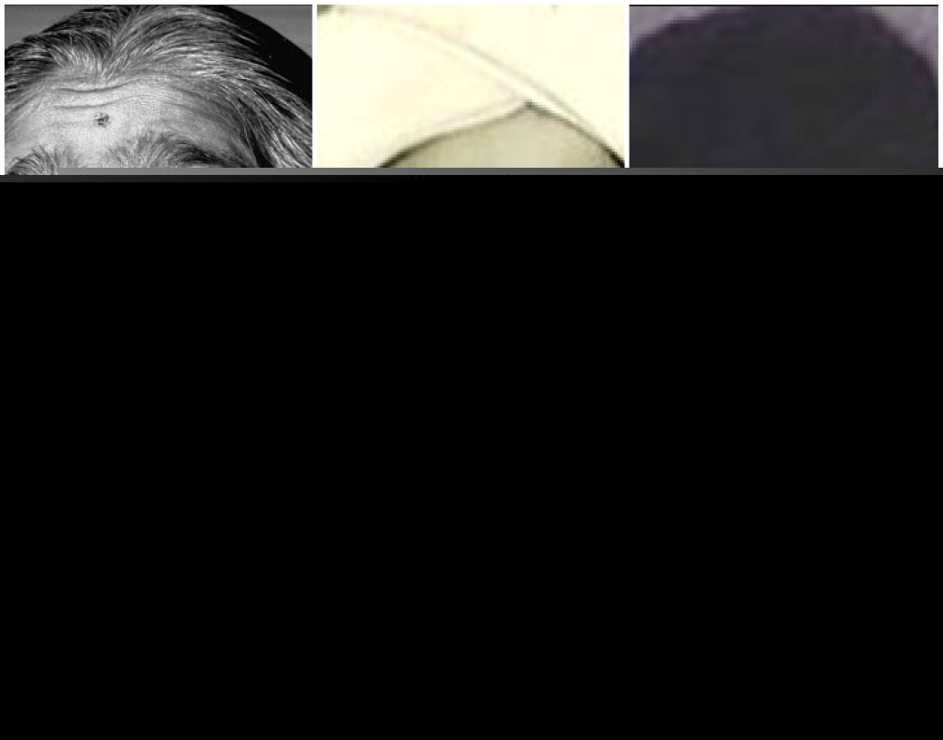 সরোজিনী নাইডু (১৯২৫), এস শ্রীনিবাস আয়েঙ্গার (১৯২৬), মুক্তার আহমেদ আনসারি (১৯২৭)।