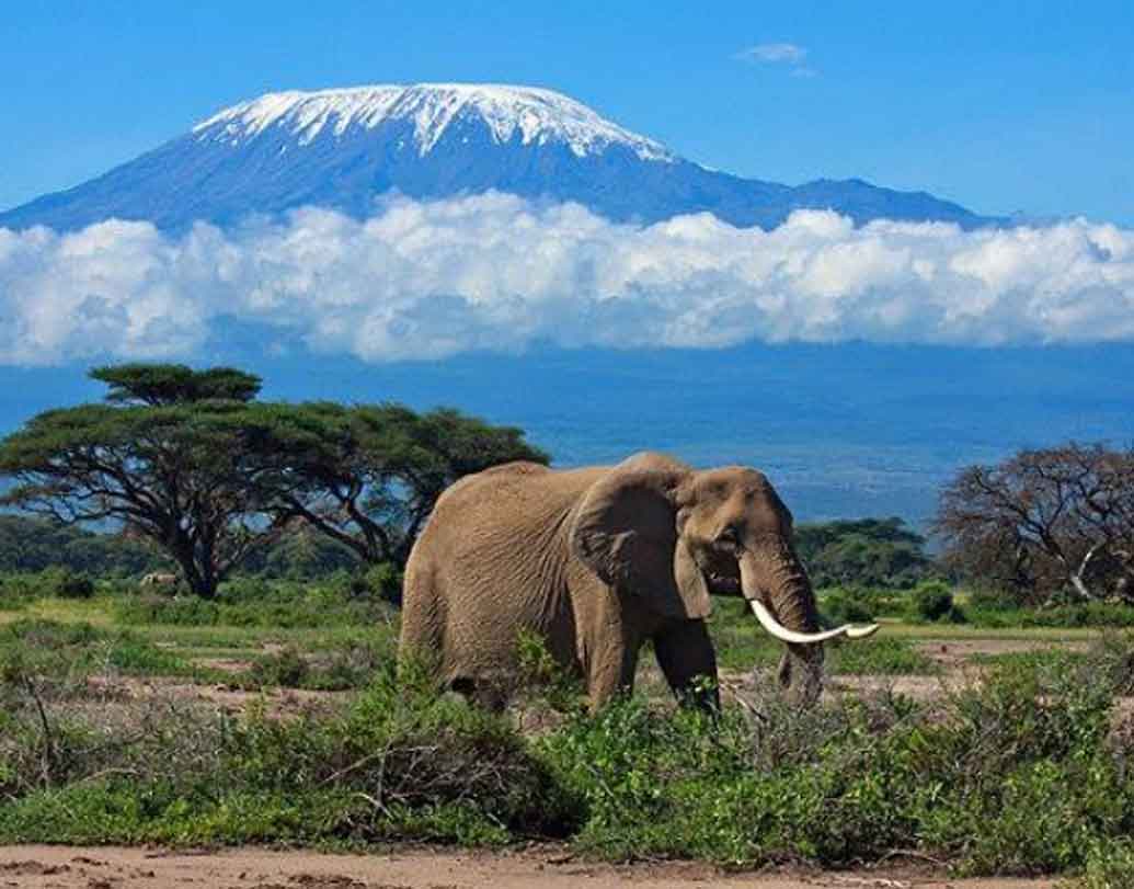 মাউন্ট কিলিমাঞ্জারো-তানজানিয়া: বিজ্ঞানীরা জানাচ্ছেন, ১৯১২ থেকে ২০০৭ সালের মধ্যে ৮৫ শতাংশ বরফ গলেছে মাউন্ট কিলিমাঞ্জারোর। আগামী ২০ বছর পর কিলিমাঞ্জারোর বেশির ভাগের চিহ্ন নাও থাকতে পারে এই পৃথিবীতে।