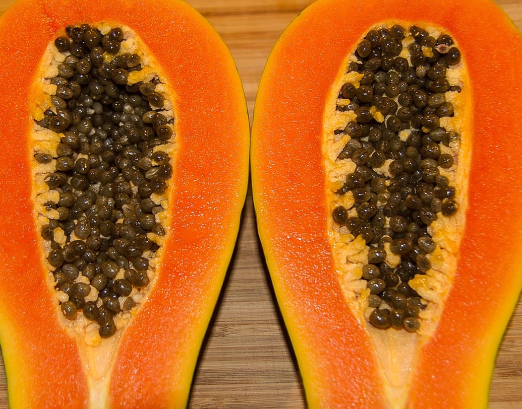 ক্ষতিকর জীবাণু নাশ: পেঁপে বীজে রয়েছে প্রোটিওলাইটিক উৎসেচক, যা দেহে বাসা বাধা নানা ক্ষতিকর জীবাণু নাশ করে। দেহে প্রোটিন বিপাকে সাহায্য করে, পাশাপাশি, ব্যাকটেরিয়ার আক্রমণ থেকে রক্ষা করে।