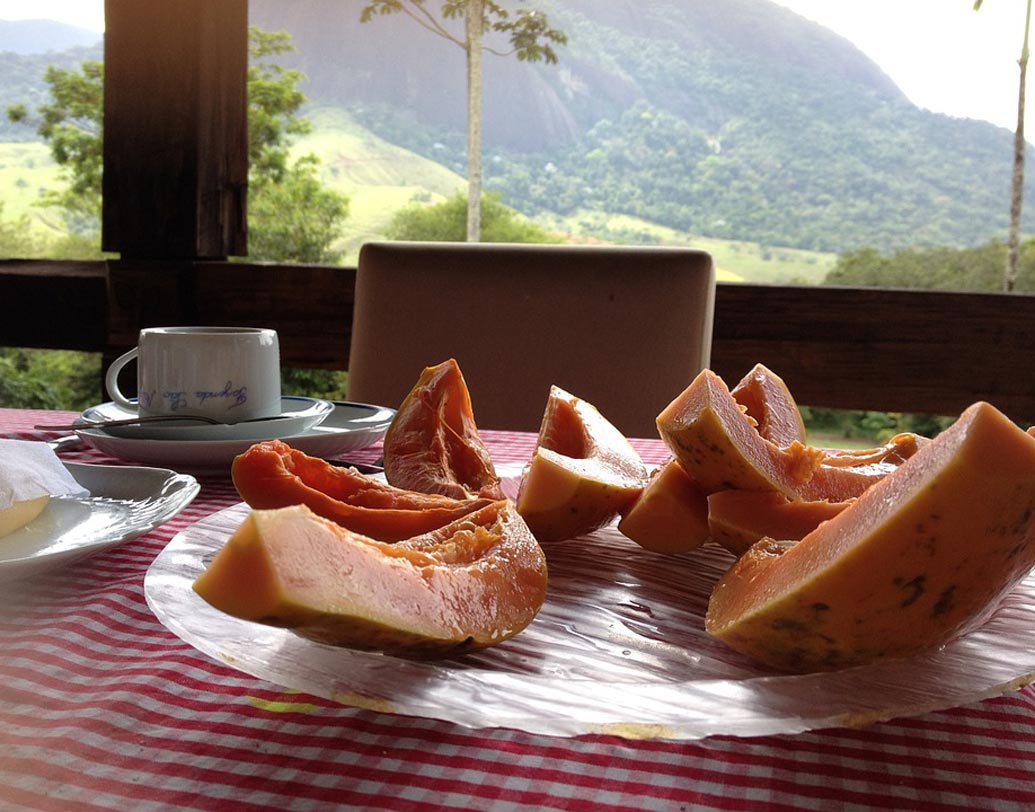 বিপাক: দেহের মধ্যে প্রোটিন ফাইবারকে ভাঙতে এবং হজম প্রক্রিয়াকে অনেক দ্রুত করে পেঁপে বীজ।
