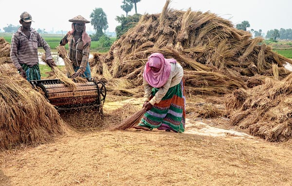 Nabanna Utsav: the traditional, rural festival of new harvest