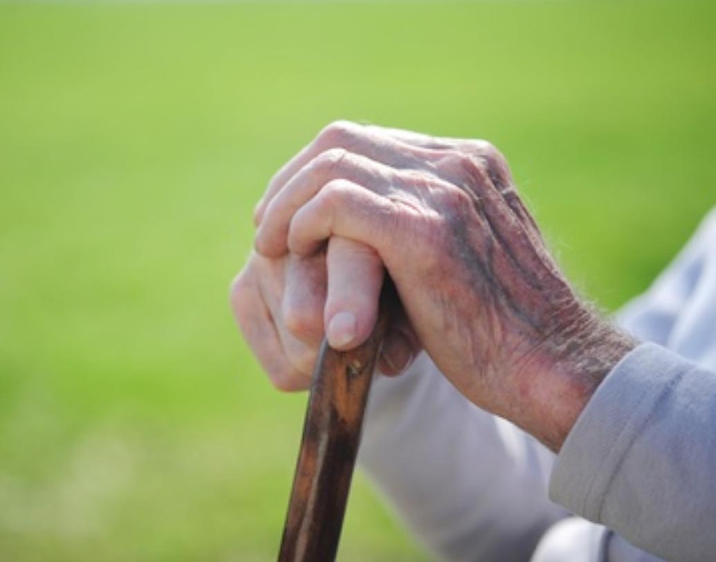 সিনিয়র সিটিজেন সেভিংস স্কিম-এর পুরনো সুদের হার ছিল ৮.৩ শতাংশ যা অপরিবর্তিতই থাকছে।