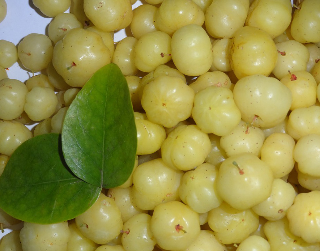 বিশেষজ্ঞদের মতে, আমলকি হজম ক্ষমতা বাড়ায়।  বিপাকে সাহায্য করে।