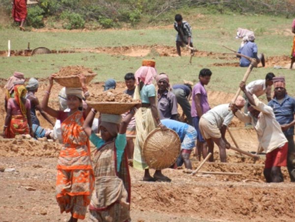 100 days' work : Other states group will visit the work