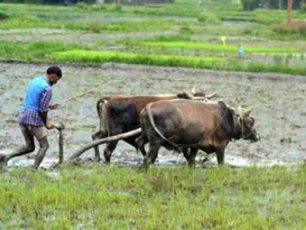 Kisan card to be distributed in all farmers in new year