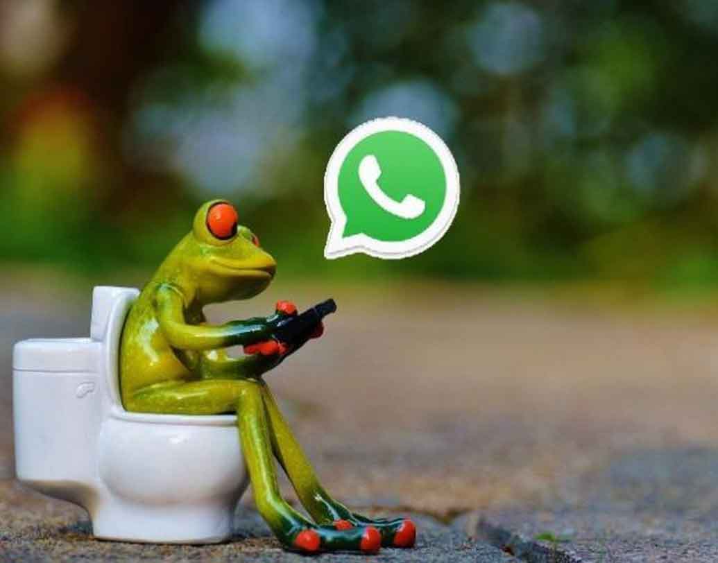 নতুন এই ফিচার্সে ‘রেসট্রিক্টেড গ্রুপ’ খোলা যাবে। এই গ্রুপের ‘অ্যাডমিন’ গ্রুপের অন্যান্য সদস্যদের মেসেজ, ভিডিও, অডিও, ছবি, জিফ ফাইল নিয়ন্ত্রণ করতে পারবেন।