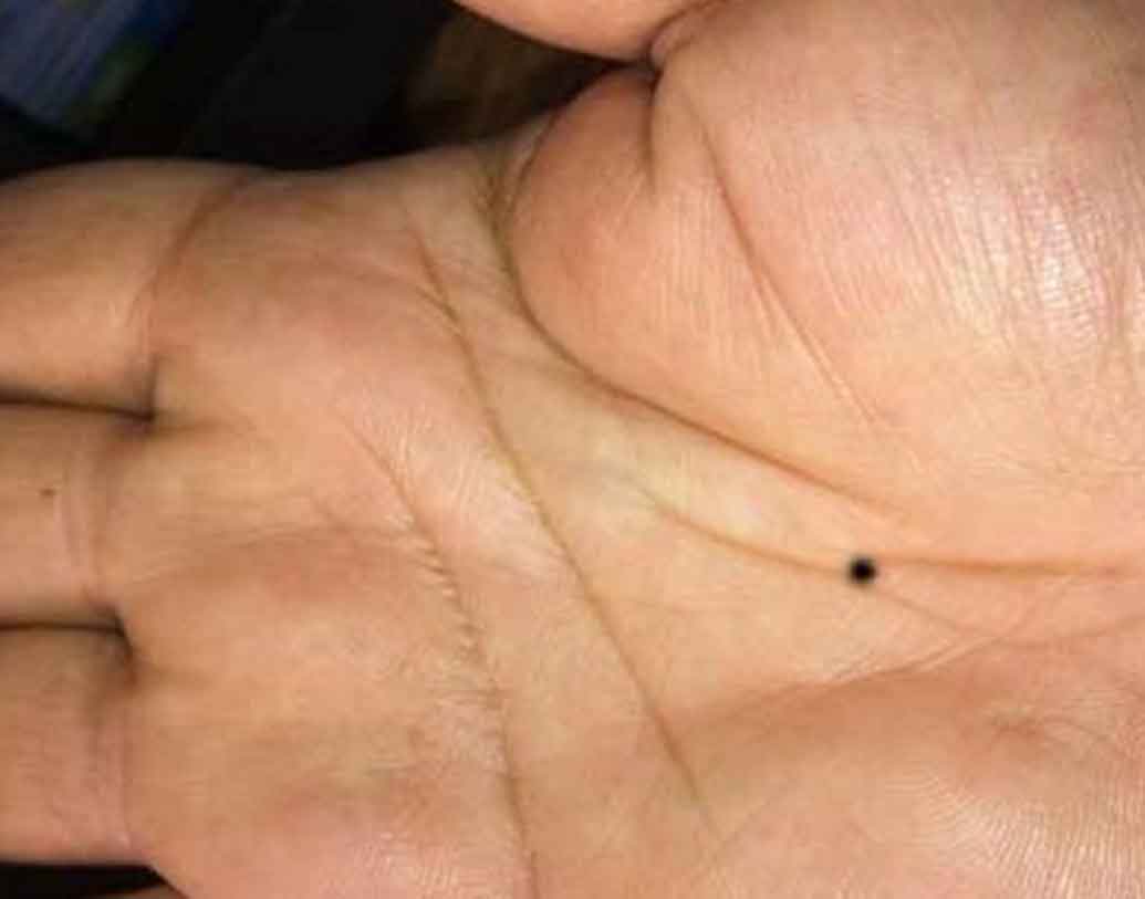 বাম হাতের তালুতে তিল:টাকা হাতে রাখা আপনার জন্যও মুশকিল। আয় করবেন যথেষ্ট। কিন্তু আয়ের চেয়ে ব্যয় হবে বেশি।