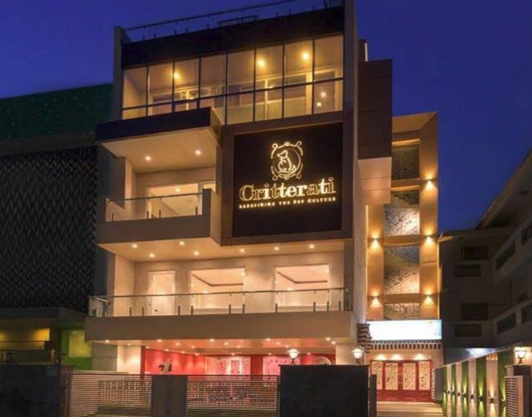 পোষা সারমেয়দের জন্য ভারতের প্রথম বিলাসবহুল হোটেল ‘ক্রিটারাটি’ খুলেছে গুরুগ্রামে।