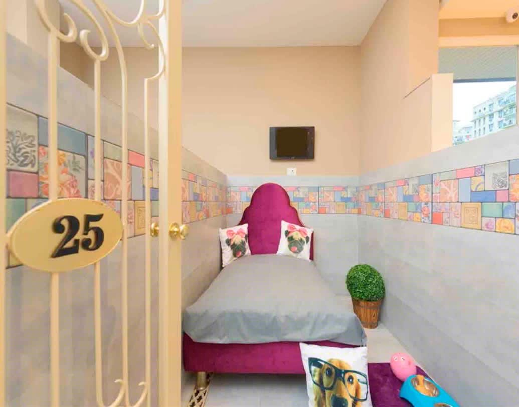 এই হোটেলে আপনার আদরের পোষ্যদের জন্য রয়েছে বিলাসবহুল স্যুট। যেখানে তাদের জন্য রয়েছে টিভি, নরম বিছানা, ভেলভেটে মোড়া ছাদ, আলাদা আলাদা ব্যালকনি।