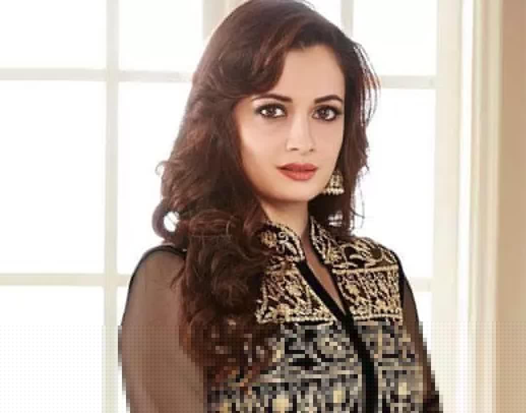 কর ফাঁকি দেওয়ার অভিযোগে ২০০৬ সালে তাঁকে আটক করে কাস্টম্স ডিপার্টমেন্ট।