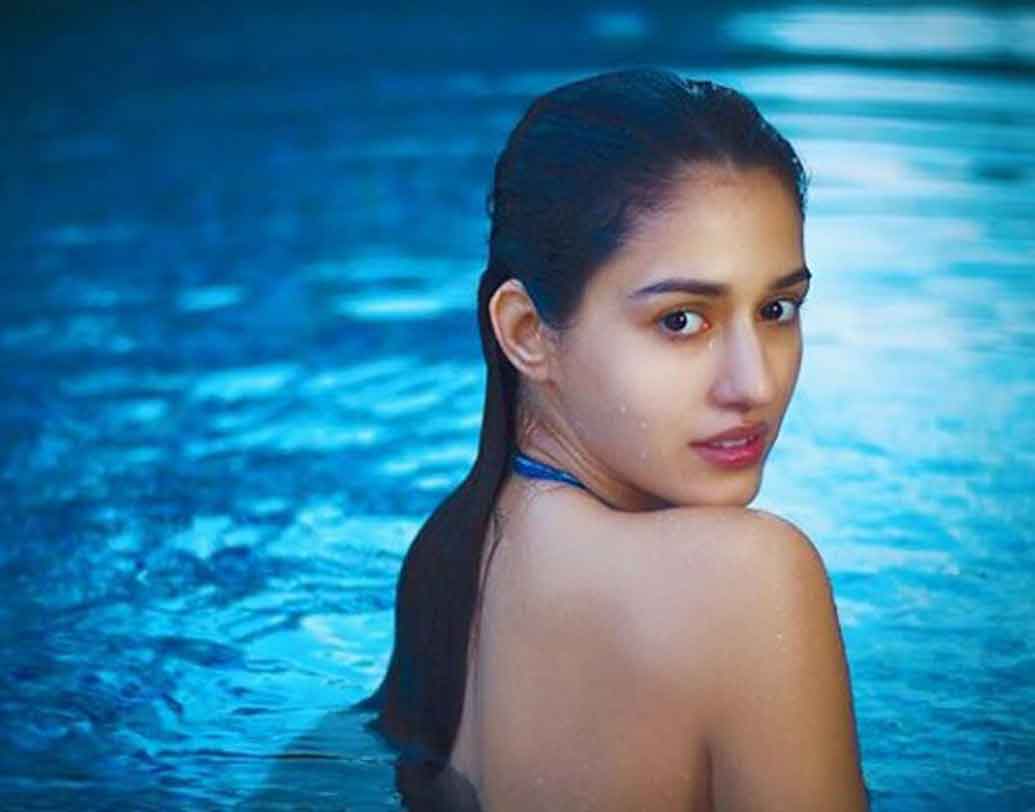 ২০১৬ সালে টাইগারের সঙ্গে একটি মিউজিক ভিডিওতে অভিনয় করেছিলেন দিশা।