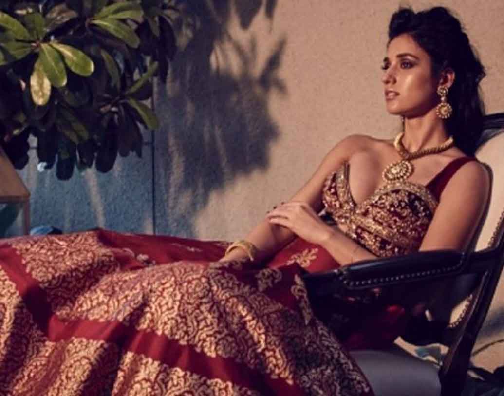 শোনা যাচ্ছে আগামী বছর নাকি ‘বাঘি ২’-তে টাইগারের সঙ্গে স্ক্রিন শেয়ার করতে দেখা যাবে দিশাকে।