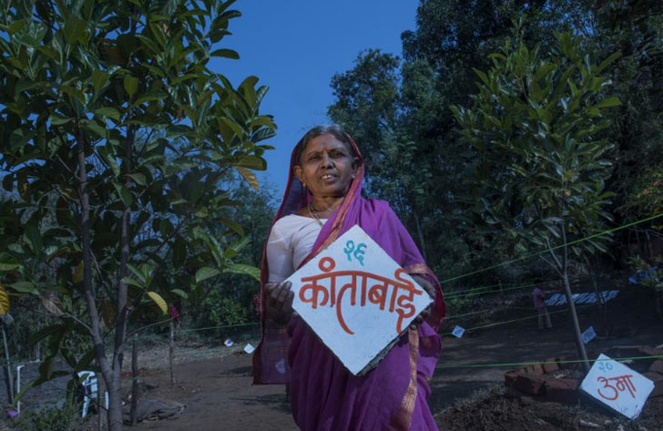 ৬৫ বছরের কান্তাবাঈ হচ্ছেন শীতলদেবীর শাশুড়ি। প্রত্যেক ছাত্রীই এই স্কুলে এখন বৃক্ষরোপণ করেন।<br> এক একটি গাছ এখানে এক একটি ছাত্রী। কান্তাদেবীর মতে ‘‘আমরা সকলেই এক ক্লাসে পড়াশোনা করি আর তাই বাগান তৈরির সময় আমরা বেশ আনন্দ পাই।<br> দিনের বেলায় আমরা ঘুরতেও বেরিয়ে পড়ি। তবে দিলীপজীকে কবে থেকে বলছি, উনি বনভোজনটা যে কবে আয়োজন করবেন জানি না।’’