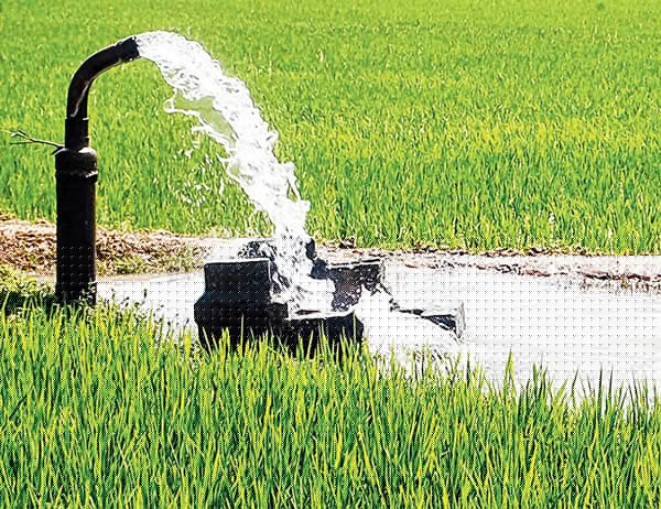 Others Government initiative should not stop for the project of Minimum Income for all