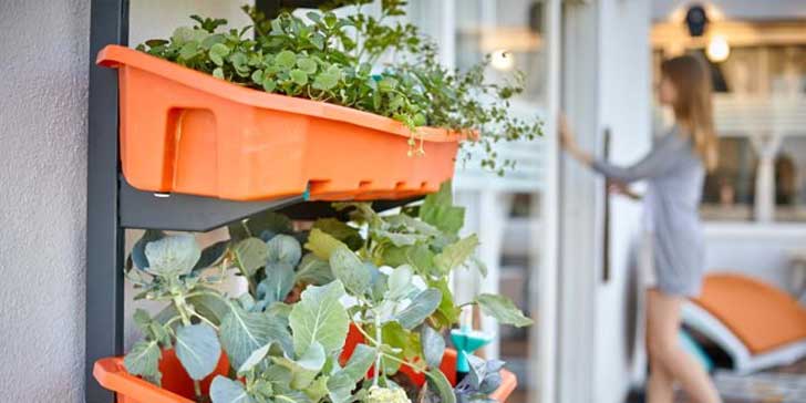 You can make a kitchen garden in your room only dgtl 