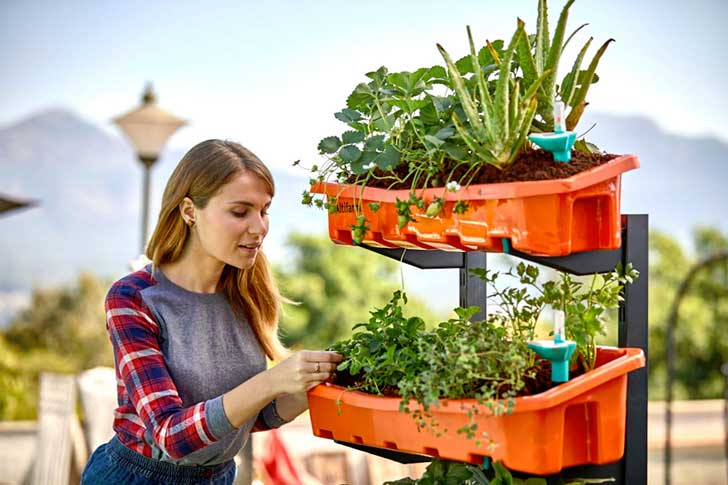 চাষের জন্য এক বিশেষ ধরনের পোর্টেবল ট্রে থাকে থাকে  সাজানো হয়। সেই ট্রেতেই দেওয়া থাকে মাটি এবং জল।