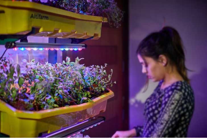 ট্রের ওপর দিকে রয়েছে কৃত্রিম আলোর ব্যবস্থাও।<br> সাদা, নীল এবং লাল।<br> যা সালোকসংশ্লসেষে সাহায্য করে।