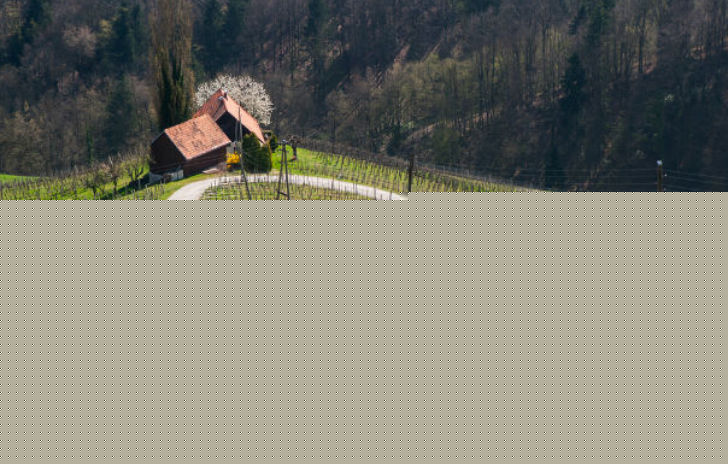 সারা দুনিয়া ভ্যালেনটাইন্স ডে-কে প্রেম দিবস মনে করলেও স্লোভেনিয়াতে ব্যাপারটা একটু অন্য রকম।<br>
এ দিন ঘরে ঘরে ফসল তোলার দিন। ফলে বসন্ত উৎসবের সূচনাও ভ্যালেনটাইন্স ডে হয়।<br>
১২ মার্চ সেখানকার মানুষজন প্রেম দিবস পালন করেন।