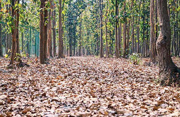 Dairy processing plant pending for two years