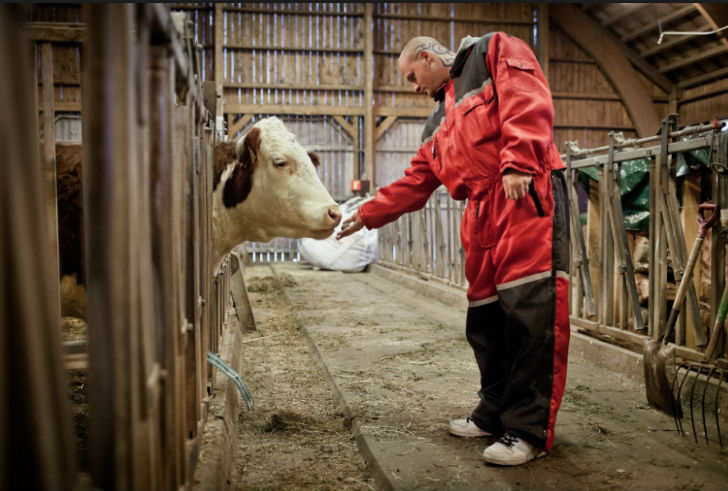 অবসর সময়ে এই ফার্ম হাউসেই কাজ করেন কয়েদিরা। তবে ইচ্ছা হলে নিজেদের পছন্দ মতো অন্য কাজও করারও অনুমতি দেওয়া হয় তাঁদের।