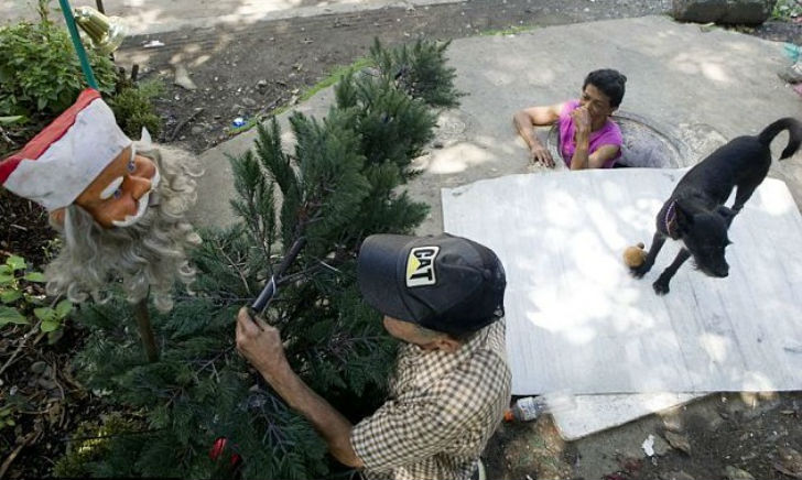 শুধু তাই নয়, যে কোনও অনুষ্ঠানে নিজেদের ম্যানহোলের সংসারকে সুন্দর করে সাজিয়ে তোলেন তাঁরা। ক্রিসমাসের সময় ম্যানহোলের <br> বাইরে ক্রিসমাস ট্রি, সান্তাক্লজ, জিঙ্গল বেল কোনওটাই বাদ দেননি মারিয়া-মিগুয়েল।