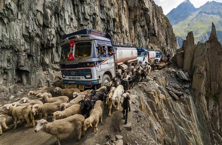 জোজিলা পাস, ভারত: এবড়ো খেবড়ো পাথরে ঢাকা জম্মু ও কাশ্মীরের এই এই রাস্তাকে ভয়ঙ্কর বললে কম বলা হয়। লাদাখ আর কাশ্মীরের সংযোগকারী এই পাথুরে সরু রাস্তা দিয়ে গাড়ির পাশাপাশি ছাগল-ভেড়াও চলে বেড়ায়। প্রচণ্ড সরু হওয়ার কারণে বড়মাপের গাড়ি চালানো খুবই চ্যালেঞ্জিং।