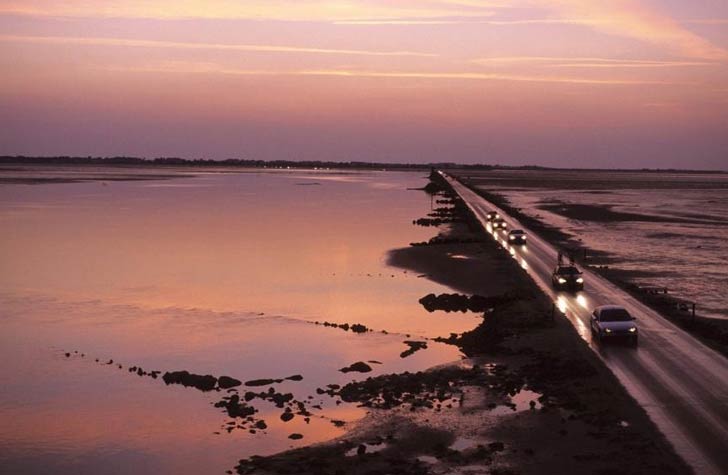 লে প্যাসেজ দু গোইস, ফ্রান্স: সুন্দর এই রাস্তা দিনে মাত্র কয়েক ঘণ্টার জন্যই খোলা থাকে। জোয়ারের সময় জলের নীচে চলে যায় এই রাস্তা। রাস্তার সৌন্দর্য দেখতেই মূলত মানুষে এখানে আসেন।