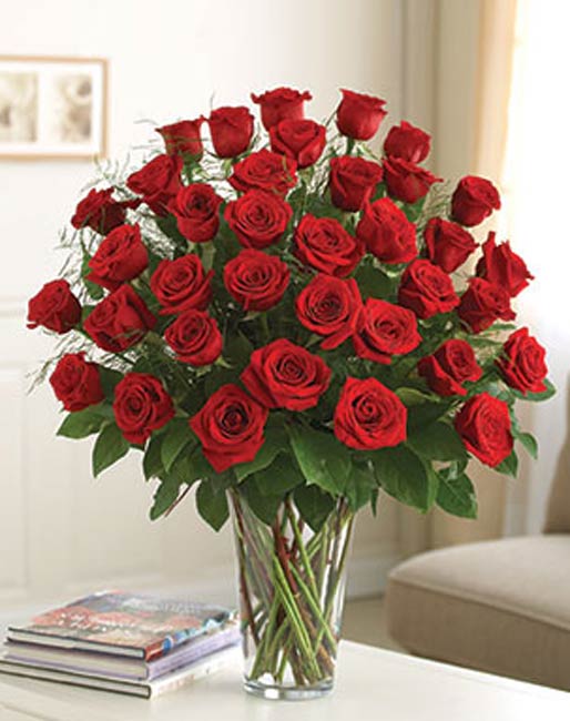 ফুল উপহারের তালিকায় সবসময়ই প্রথম সারিতে থাকে। পকেট বুঝে সিদ্ধান্ত নিন কটা গোলাপ কিনবেন।