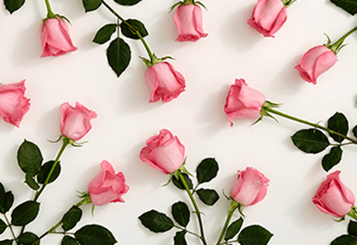 গোলাপি গোলাপ: শুধু লাল গোলাপ নয়, মনের ভাষা বোঝাতে পারে গোলাপি গোলাপও।<br> ভালবাসা, কৃতজ্ঞতা, স্বীকৃতির প্রতীক গোলাপি গোলাপ। প্রিয় বন্ধু, নির্ভরযোগ্য সঙ্গীকে ‘থ্যাঙ্ক ইউ’ বলতে পারেন গোলাপি গোলাপ দিয়ে।