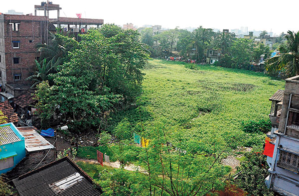 Whole pond turning into rotten pool due to negligence of the Municipality