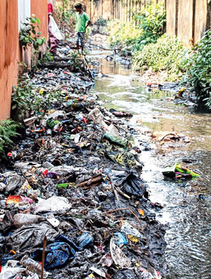 Municipality have already alerted the people for Dengue