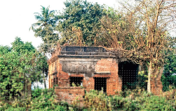 Aldrin House wants to return to the light