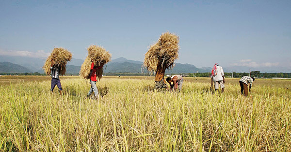 Farmer versus wholesaler in which side our Government is?