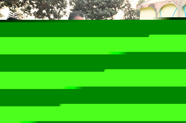 Organic vegetable market in town on Sunday