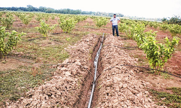 Water layers are decreasing, emphasis on another irrigation process