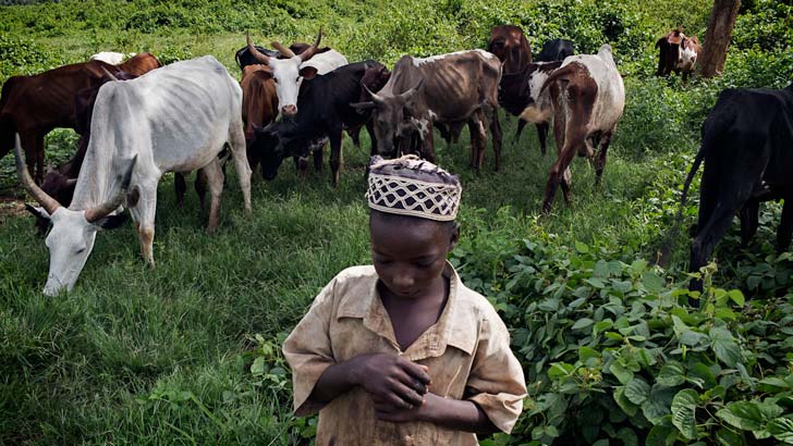 মধ্য আফ্রিকা প্রজাতন্ত্র- এই দেশের থেকে আর দুঃখী দেশ নেই এই মুহূর্তে। এমনই রিপোর্ট বলছে। আফ্রিকার এই দেশ (১৫৫) তালিকায় সবচেয়ে নীচে রয়েছে। স্কোর ২.৬৯৩। এর ঠিক উপরের দুই দেশও আফ্রিকার। ১৫৩ নম্বরের তানজানিয়া। ১৫৪ নম্বরে বুরুন্ডি।