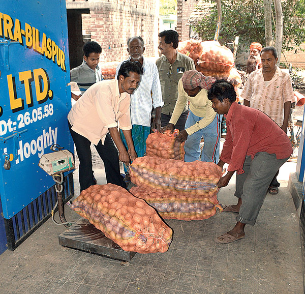 Government started to buy Potatoes, still farmers in confusion