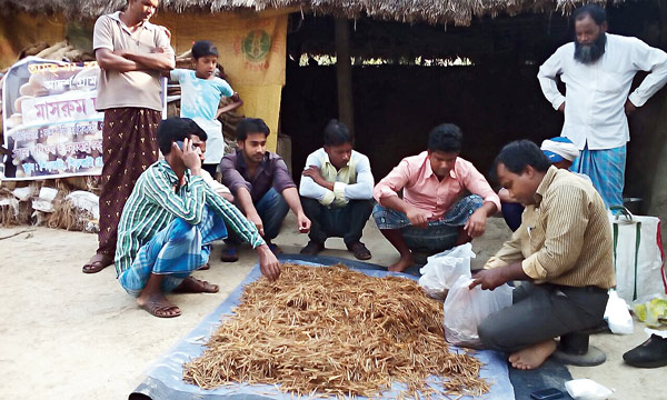 Farmers showing interest in Mushroom cultivation at Burdwan