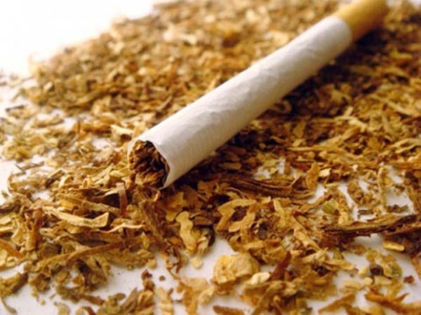 Question rises on the willingness to restrict consumption of Tobacco in India