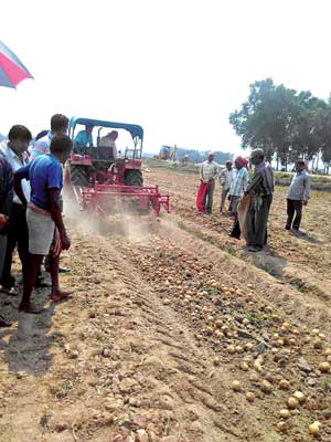 Potato farmers are getting profit as potato chips are getting sold
