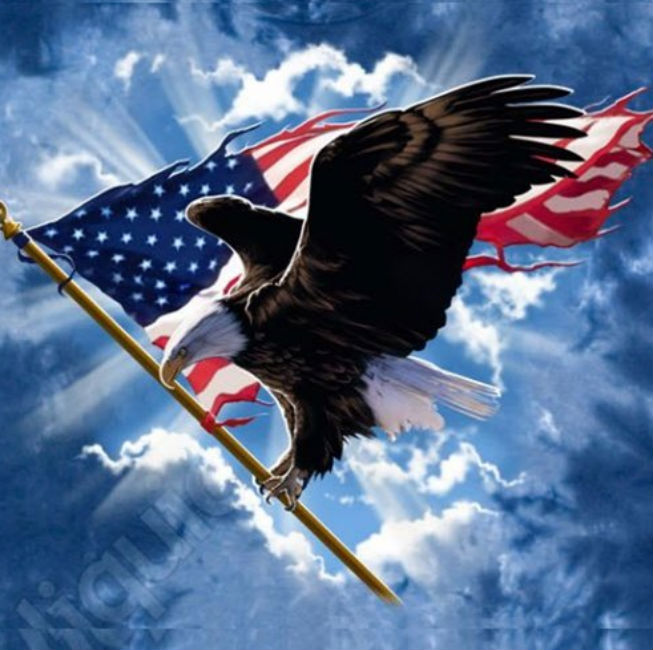 কোন কোন ক্ষেত্রে ‘অবনতি’ ঘটেছে আমেরিকার? সমীক্ষায় প্রকাশ, ব্যবসা, নাগরিকত্ব,<br>
অ্যাডভেঞ্চার ট্যুরিজম, শিক্ষা, প্রশাসনিক স্তরে স্বচ্ছতার প্রশ্নে নম্বর কমেছে ট্রাম্পের দেশের।